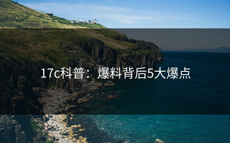 17c科普：爆料背后5大爆点