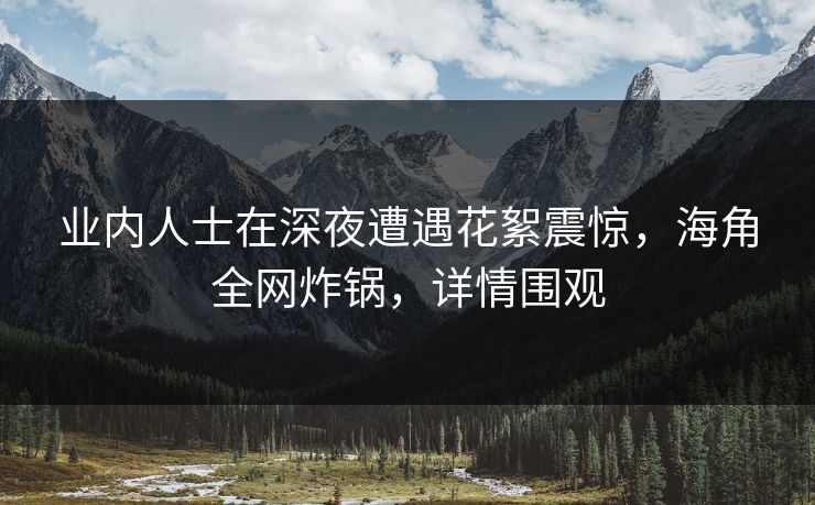 业内人士在深夜遭遇花絮震惊，海角全网炸锅，详情围观