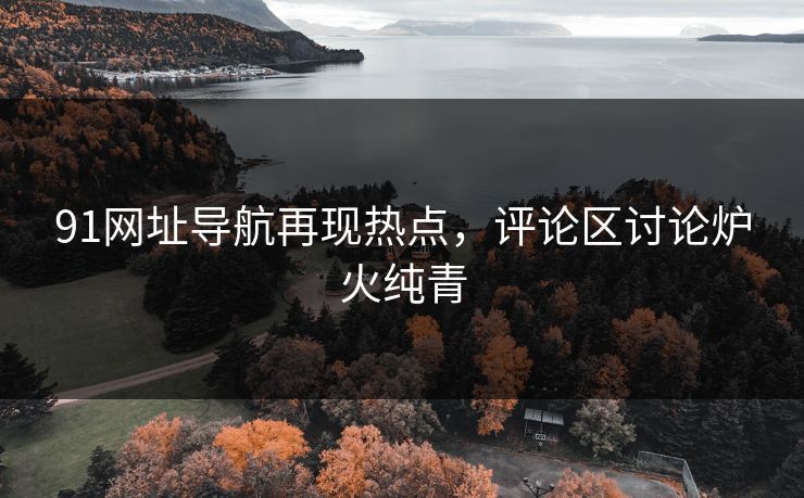 91网址导航再现热点，评论区讨论炉火纯青