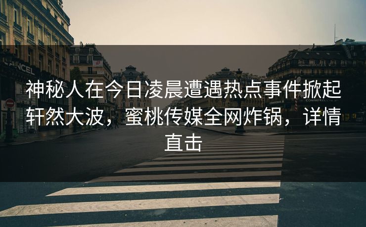 神秘人在今日凌晨遭遇热点事件掀起轩然大波,蜜桃传媒全网炸锅,详情直击