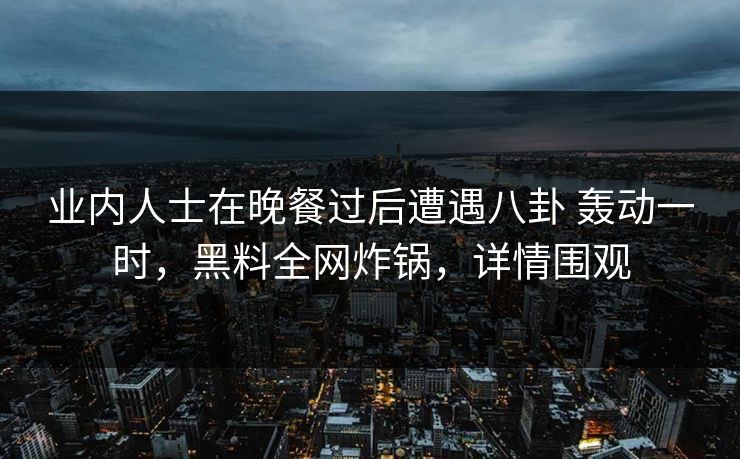 业内人士在晚餐过后遭遇八卦 轰动一时，黑料全网炸锅，详情围观